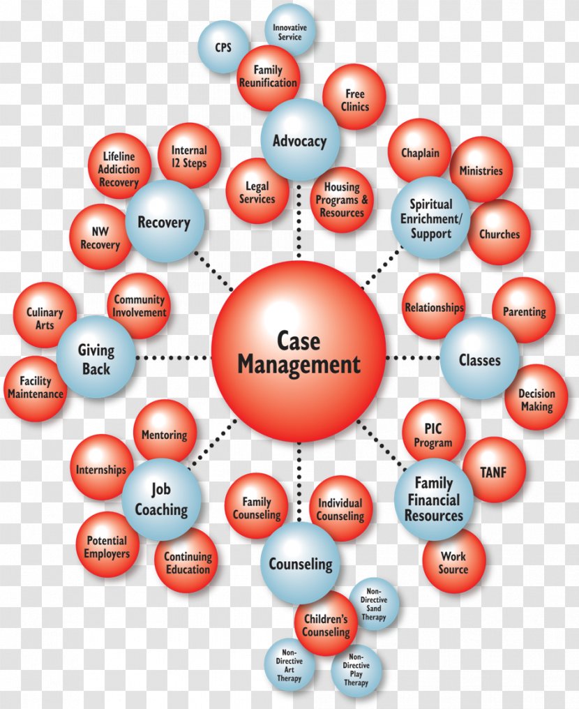 Medical Case Management Manager Diagram - Mental Health Care Nurse Transparent PNG