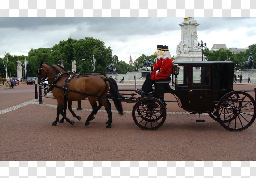 Buckingham Palace Horse And Buggy Royal Mews Victoria Memorial, London - United Kingdom Transparent PNG
