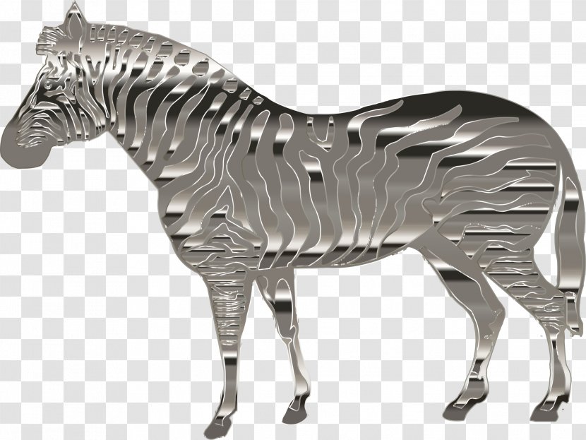 Horse Quagga Stallion - Terrestrial Animal - Zebra Transparent PNG