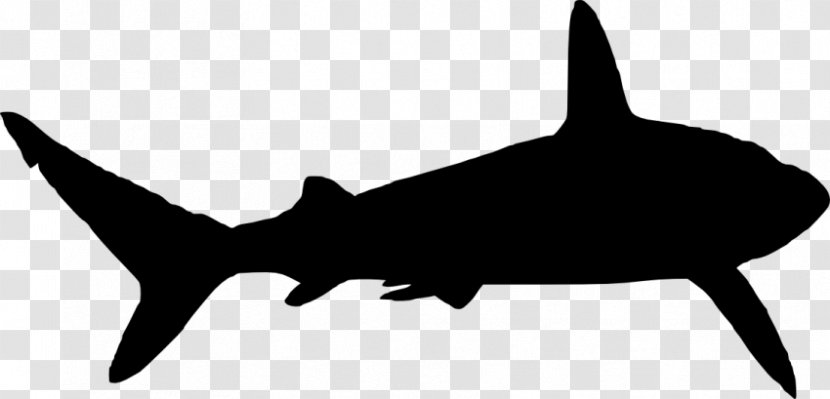 Great White Shark Silhouette Clip Art - Hammerhead Transparent PNG