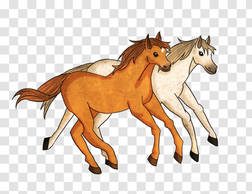Mule Foal Mustang Stallion Rein - Mare Transparent PNG