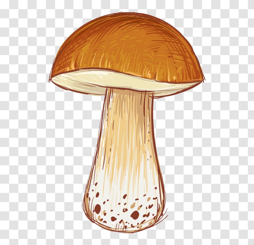 Cartoon Mushroom Illustration - Google Images Transparent PNG
