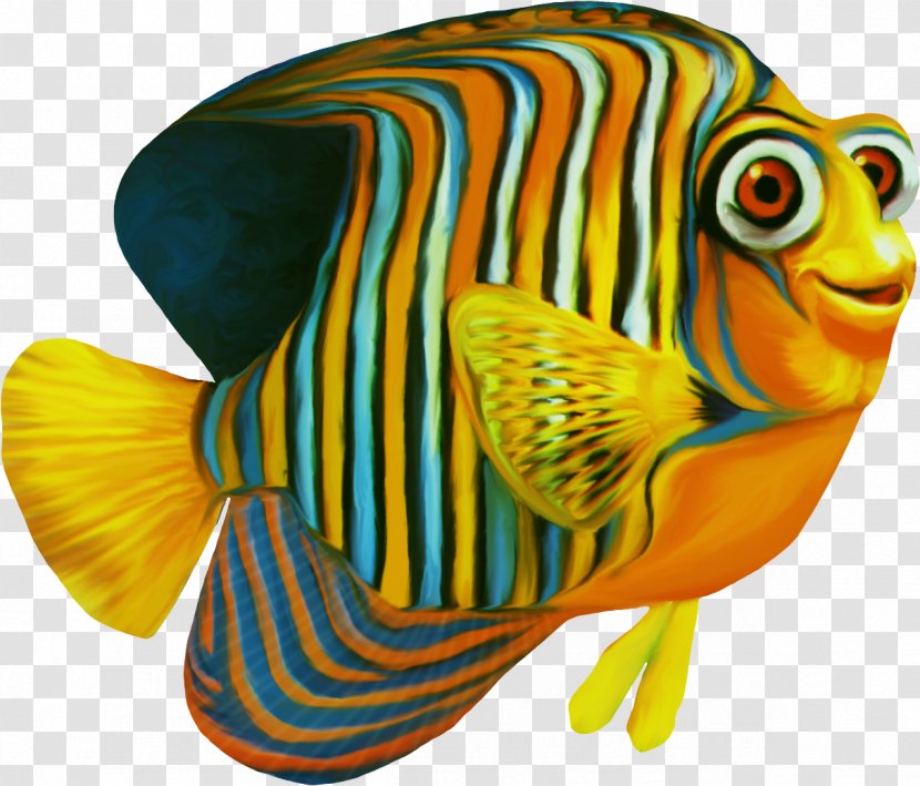 Clownfish Nemo - Aquarienpflanze - Fish Transparent PNG