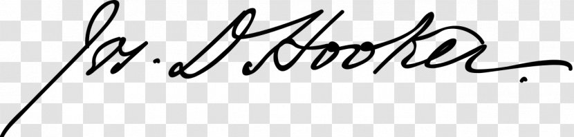 Calligraphy Drawing Line Art Logo - Monochrome Photography - Cartoon Transparent PNG