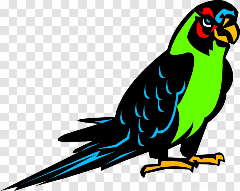 Bird Parrot Parakeet Crane Clip Art - Drawing Transparent PNG