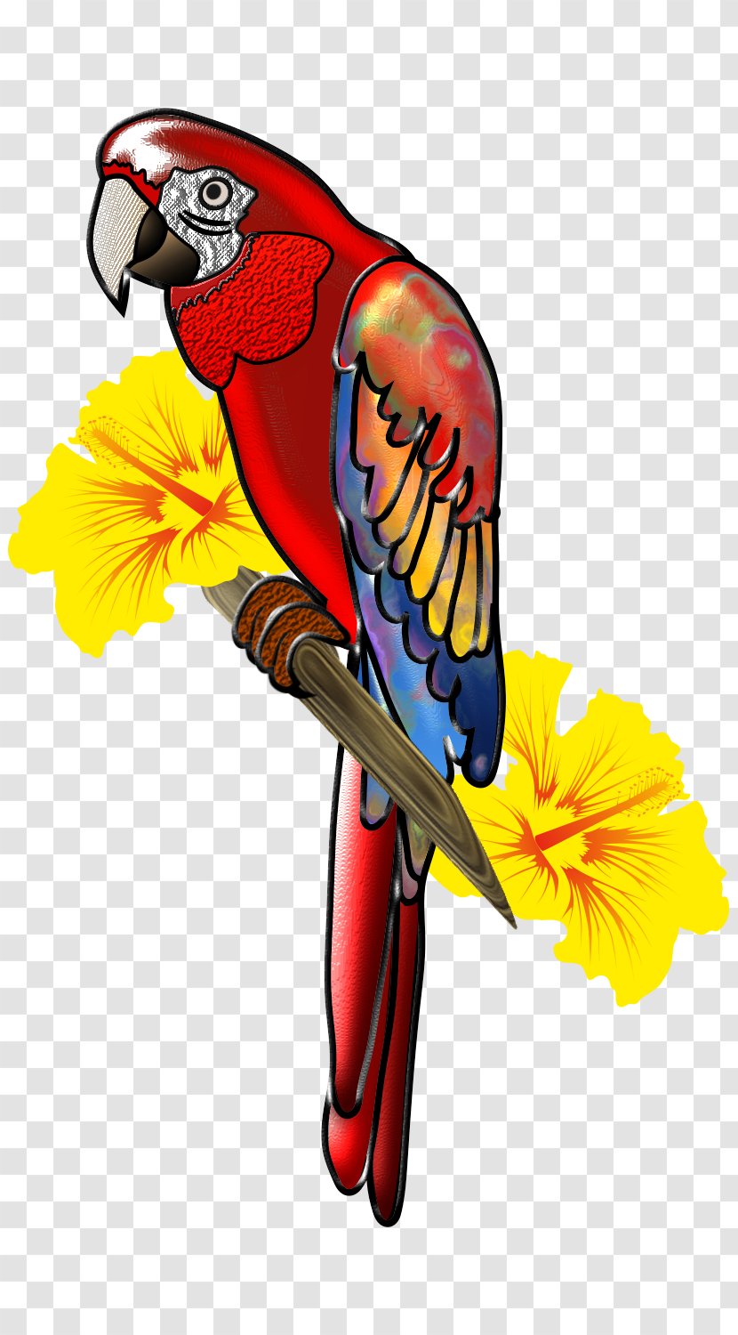 Scarlet Macaw Bird Parrot Clip Art Transparent PNG