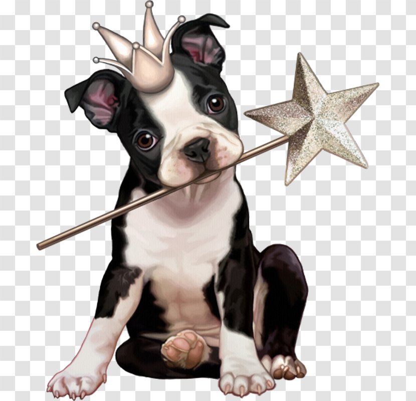Clip Art Dog Puppy Illustration Drawing - Non Sporting Group Transparent PNG