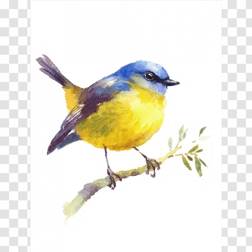 Bird Watercolor Painting Drawing - Beak - Robin Transparent PNG