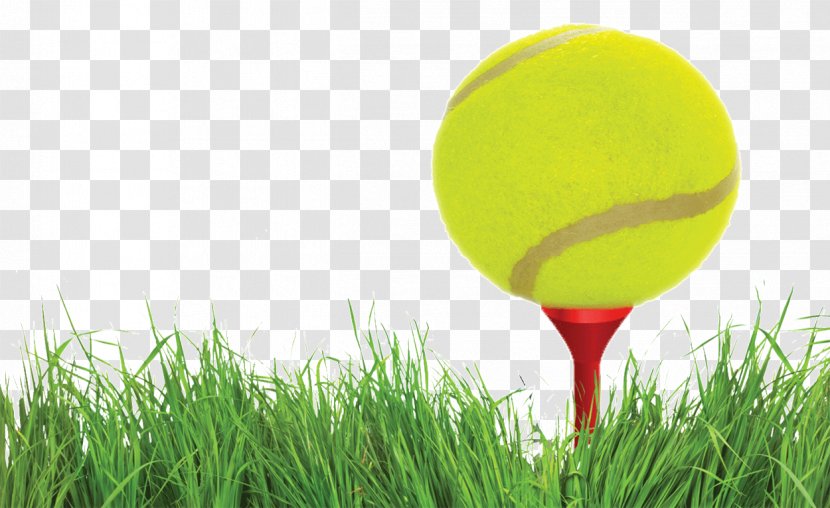 Golf Balls Tennis Transparent PNG