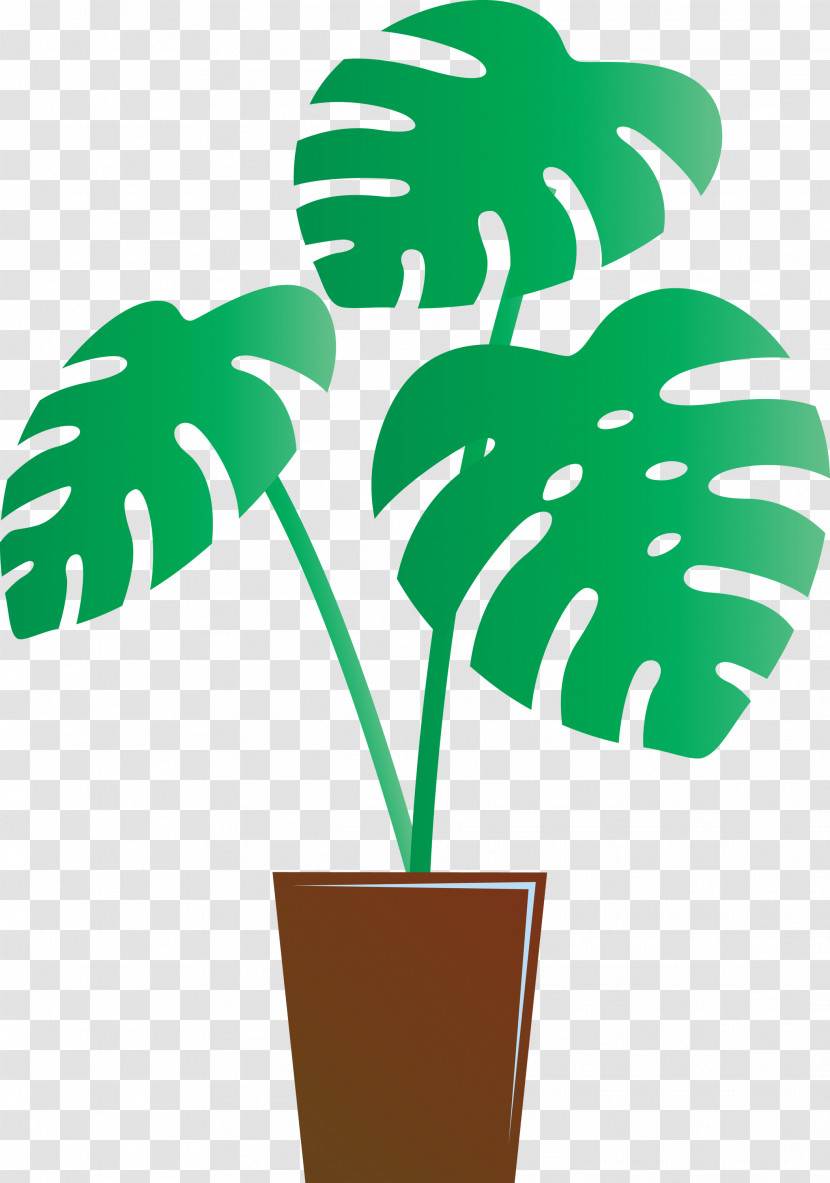 Monstera Tropical Leaf Transparent PNG