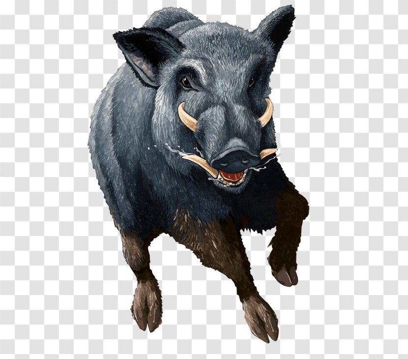Icon - If We - Boar Transparent PNG