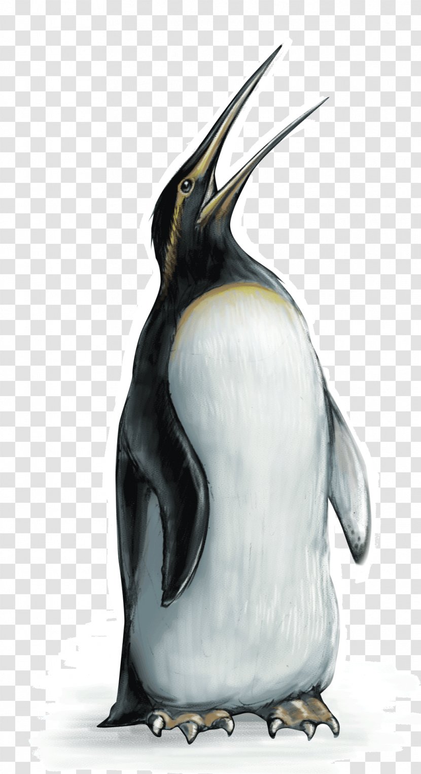 King Penguin Bird Dinosaur Moa Haast's Eagle - Cartoon Transparent PNG