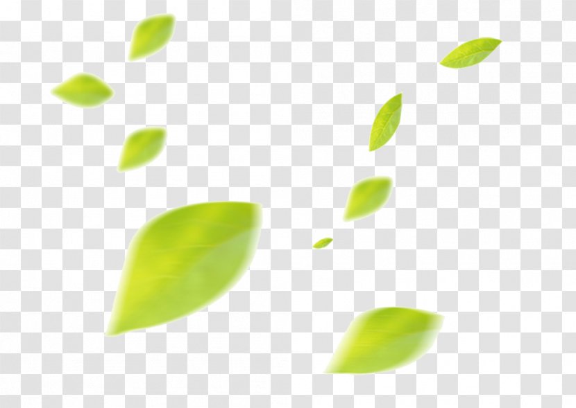 Leaf - Floating Transparent PNG