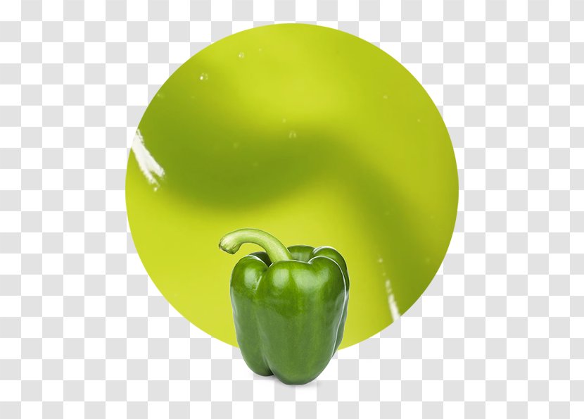 Yellow Pepper Bell Vegetable Purée Fruit Transparent PNG