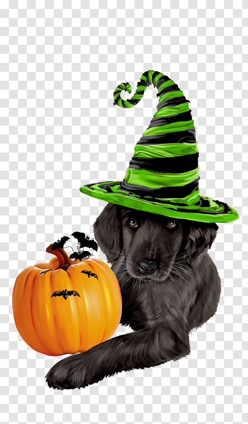 Halloween Witch Hat - Fruit - Jackolantern Holiday Transparent PNG