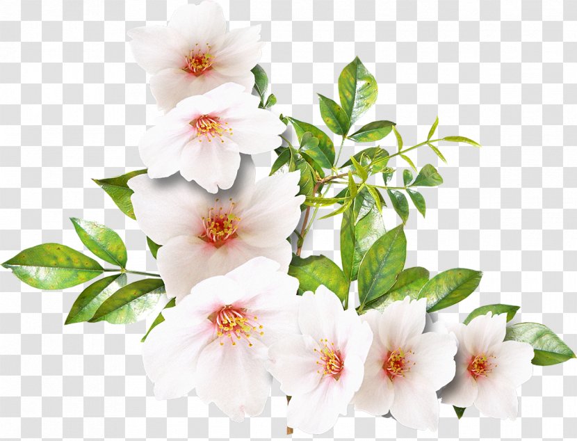 Flower White Clip Art - Autumn - Roses Transparent PNG