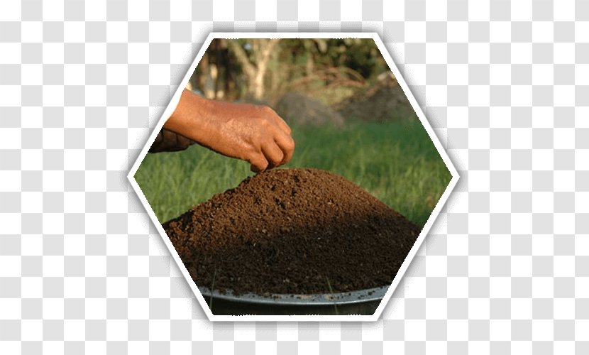 Vermicompost Soil Green Manure Fertilisers - Earthworm - Organic Farm Transparent PNG