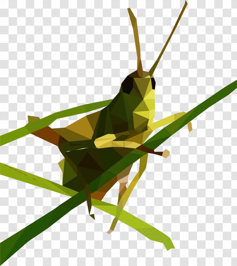 Grasshopper Low Poly Clip Art - Cricket Transparent PNG