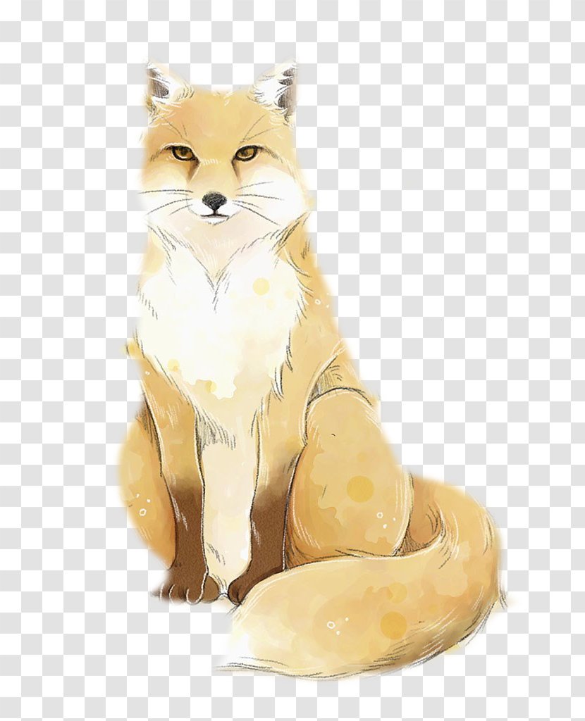 Red Fox - Cat - Vector Transparent PNG