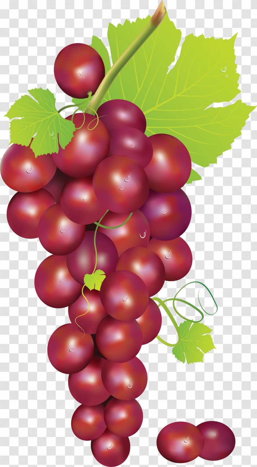 Grape Clip Art - Cherry - Image Transparent PNG