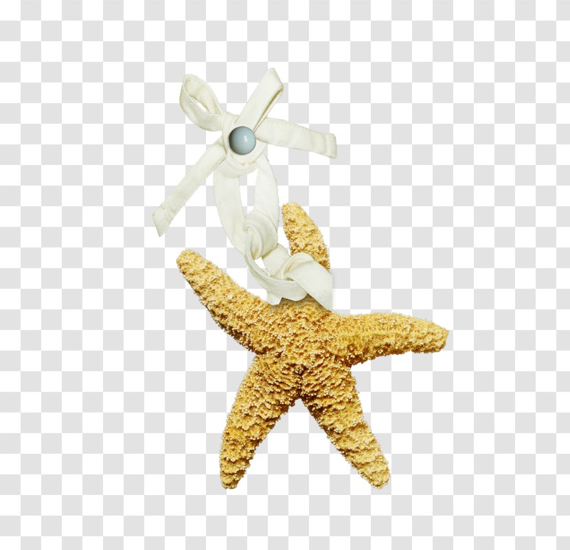 Jewellery Clothing Accessories Suit Starfish - Dress Transparent PNG