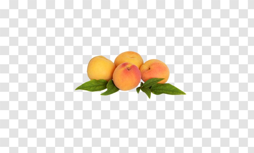 Stock Photography Apricot Fruit Plum - Citrus - Peach Transparent PNG