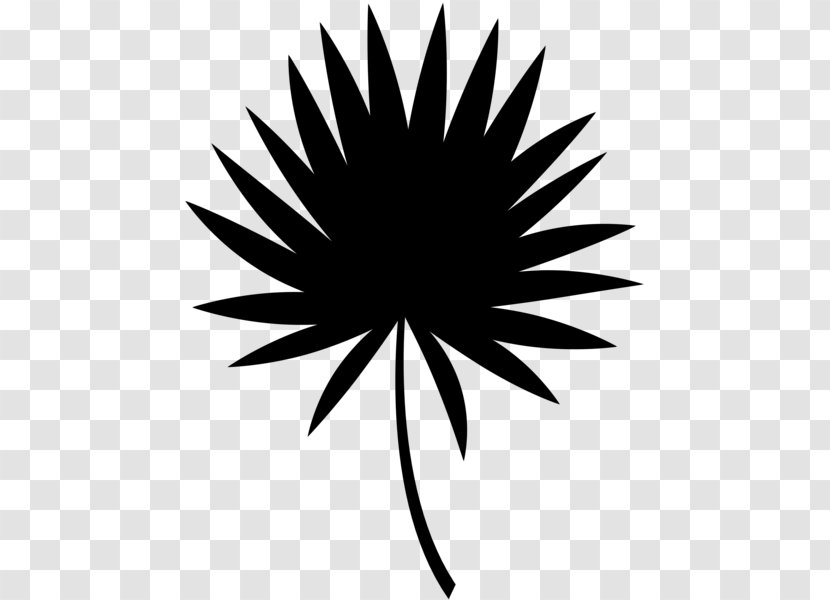 Black & White - Blackandwhite - M Symmetry Flower Clip Art Leaf Transparent PNG