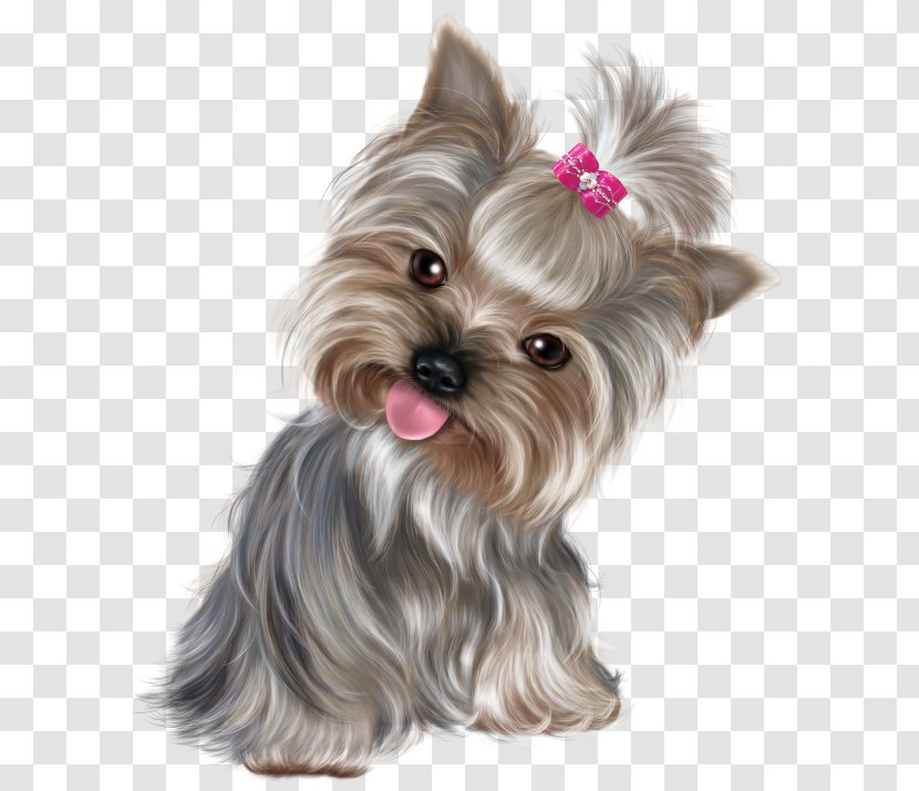 Happiness Monday Wish Morning - Snout - Cute Dog Transparent PNG