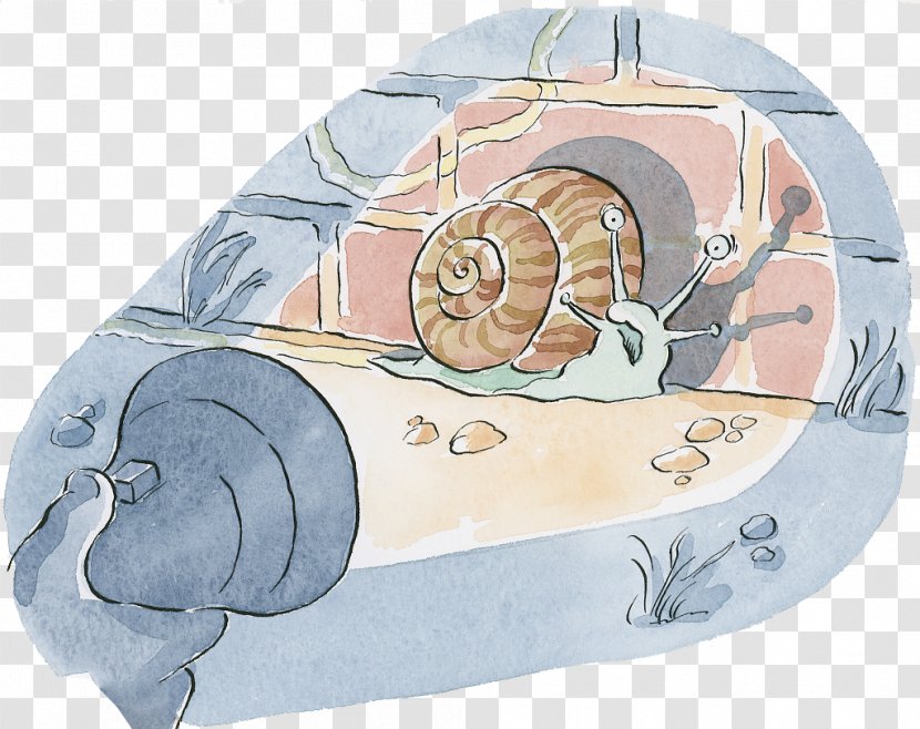 Drawing Watercolor Painting Illustration - Flower - Snails Found In Illustrations By Flashlight Transparent PNG