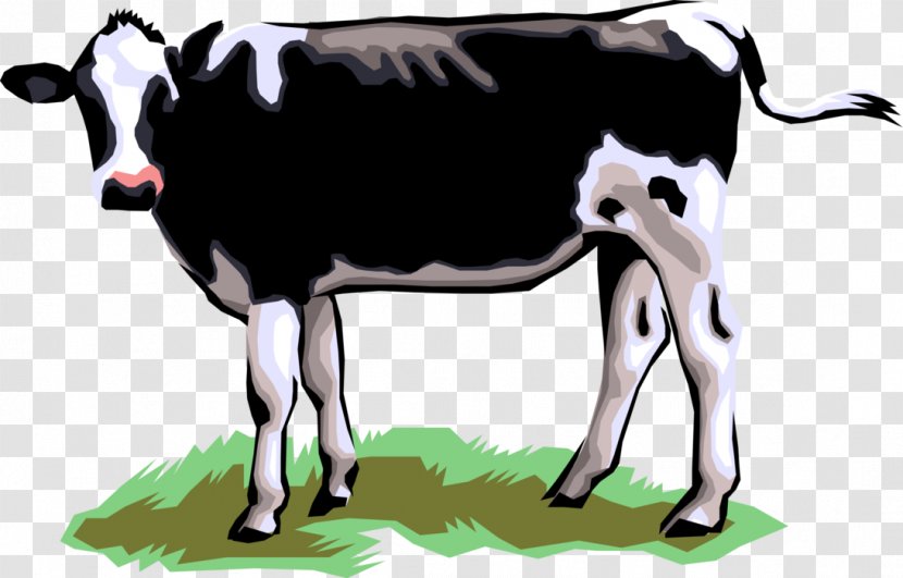 Dairy Cattle Jersey Baka Calf Holstein Friesian - Bull - Cow With Hearts Transparent PNG