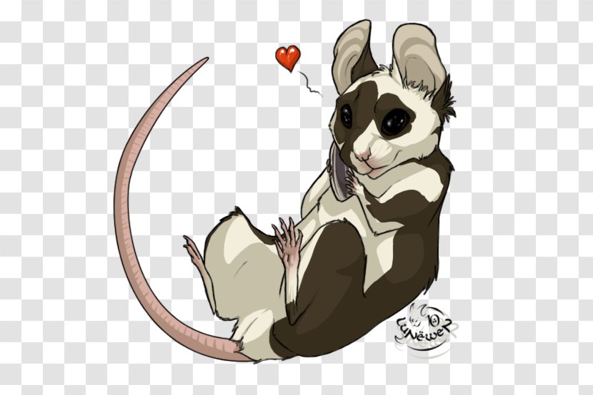 Cat Rat Mouse Marsupial Canidae Transparent PNG