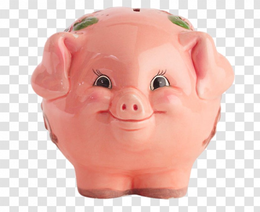 Domestic Pig Piggy Bank - Snout - Happy Transparent PNG