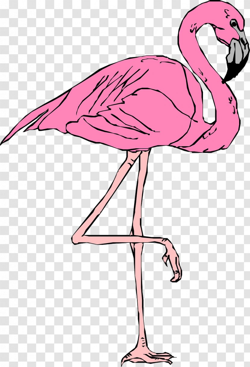 Flamingo Free Content Website Clip Art - Water Bird - Pink Flamingos Transparent PNG