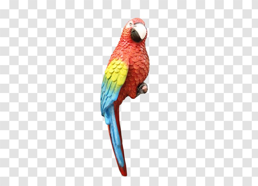 Bird Parrots Blue-and-yellow Macaw Parakeet Perroquet - Parrot Transparent PNG