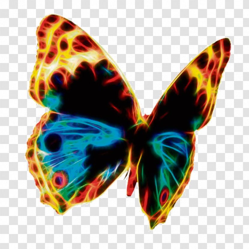 Butterfly Public Domain Royalty-free Clip Art - Brush Footed Transparent PNG