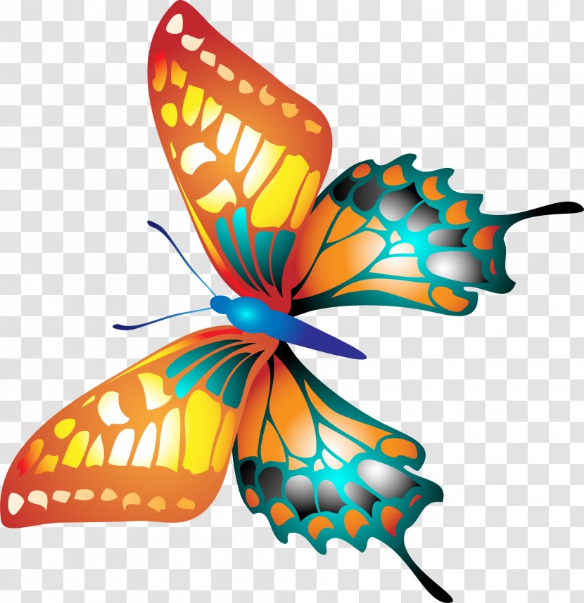 Butterfly Insect Animation Pollinator Clip Art - Brush Footed Transparent PNG