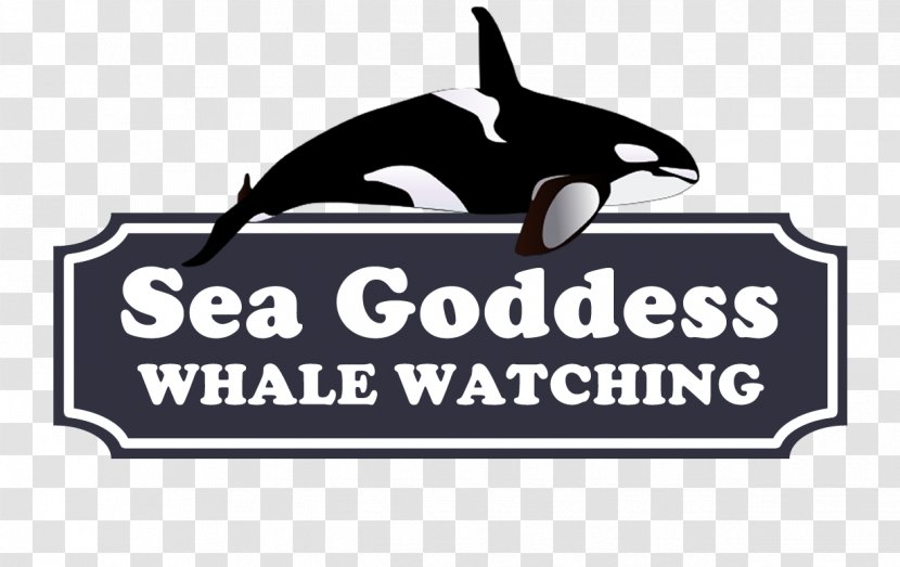 Monterey Bay Sea Goddess Whale Watching Moss, County, California - Brand Transparent PNG