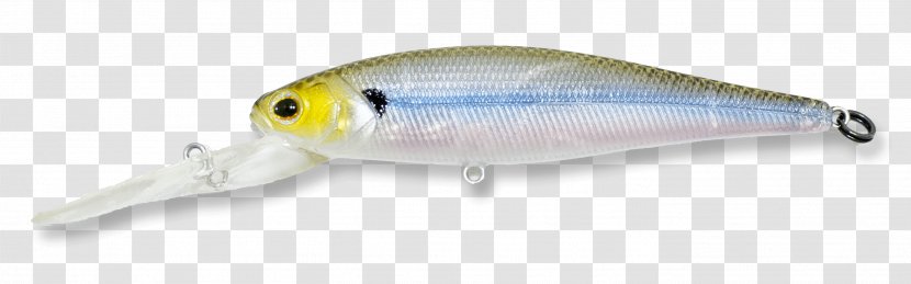Bass Worms Fishing Technology Television Show Transparent PNG