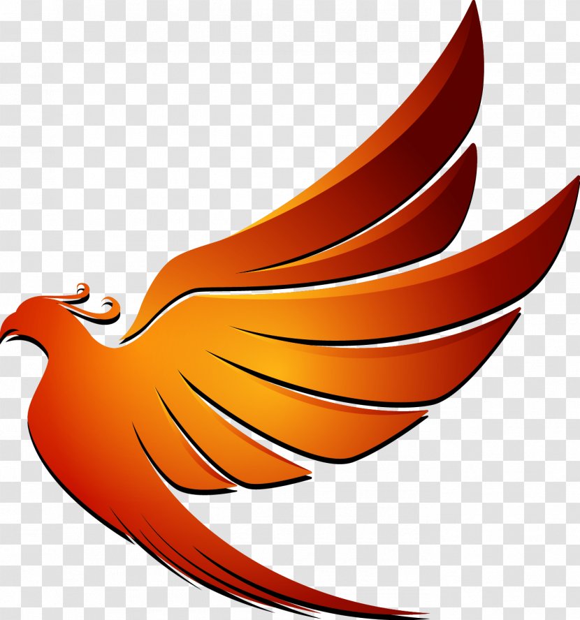 Logo Design Art Image Corporate Identity - Wing - Phoenix Roebelenii Transparent PNG