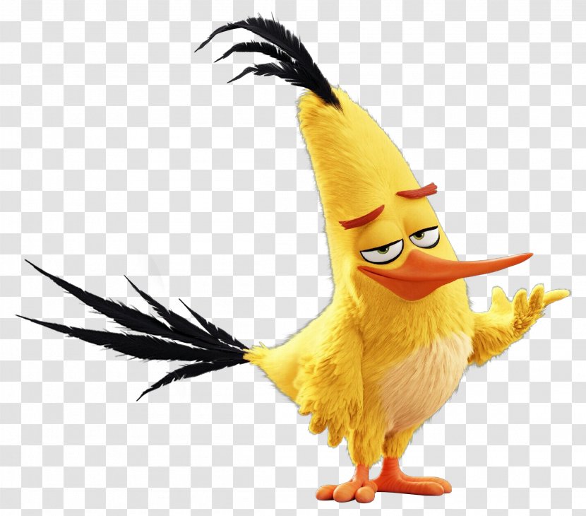Bird Yellow Beak Water Costume - Wing Duck Transparent PNG