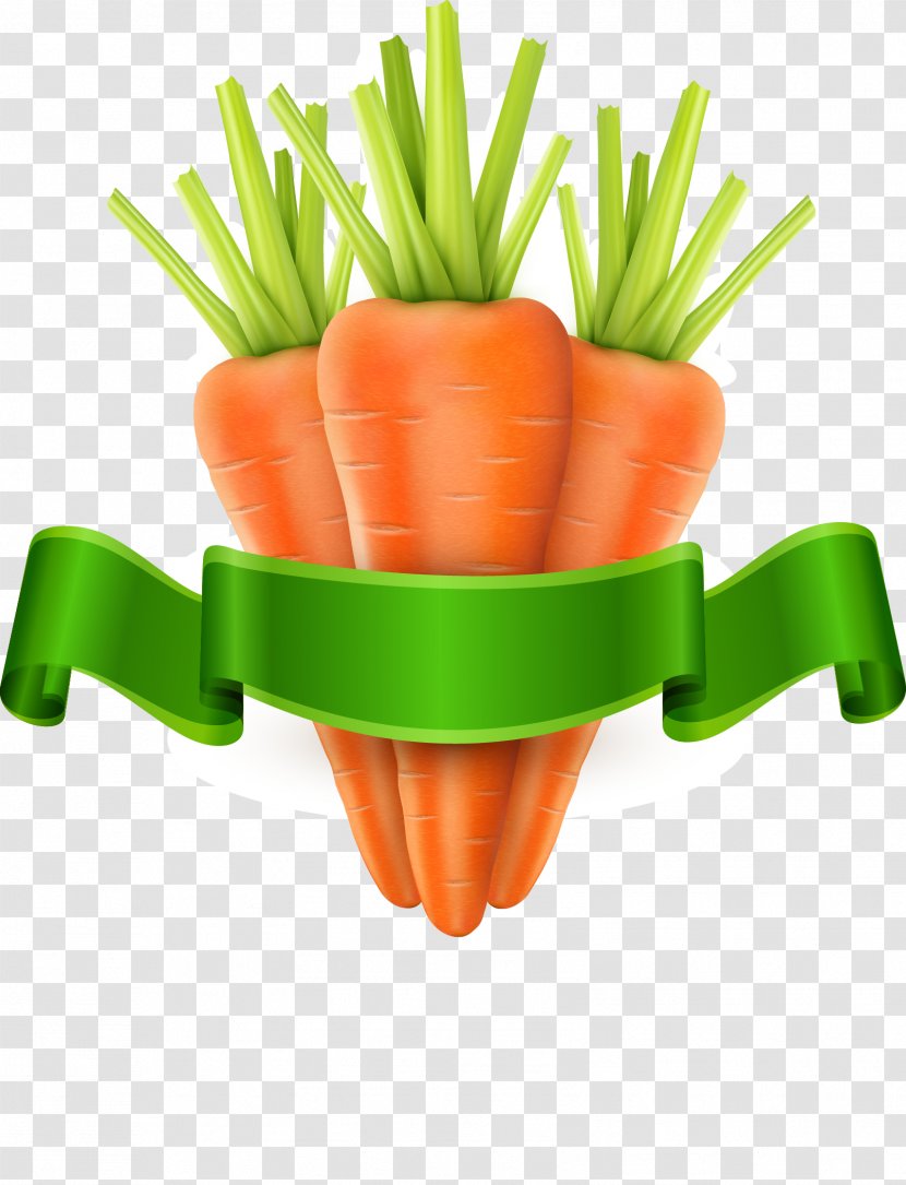 Carrot Vegetable Royalty-free Clip Art - Fruit - Vector Transparent PNG