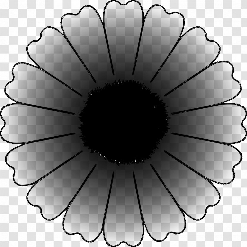 Product Design Eye - Daisy Family - Sunflower Transparent PNG