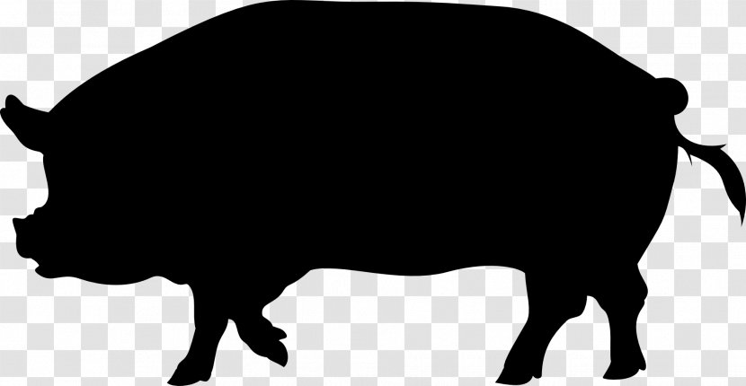 Wild Boar Clip Art Vector Graphics Drawing Stock Illustration - Pig Transparent PNG