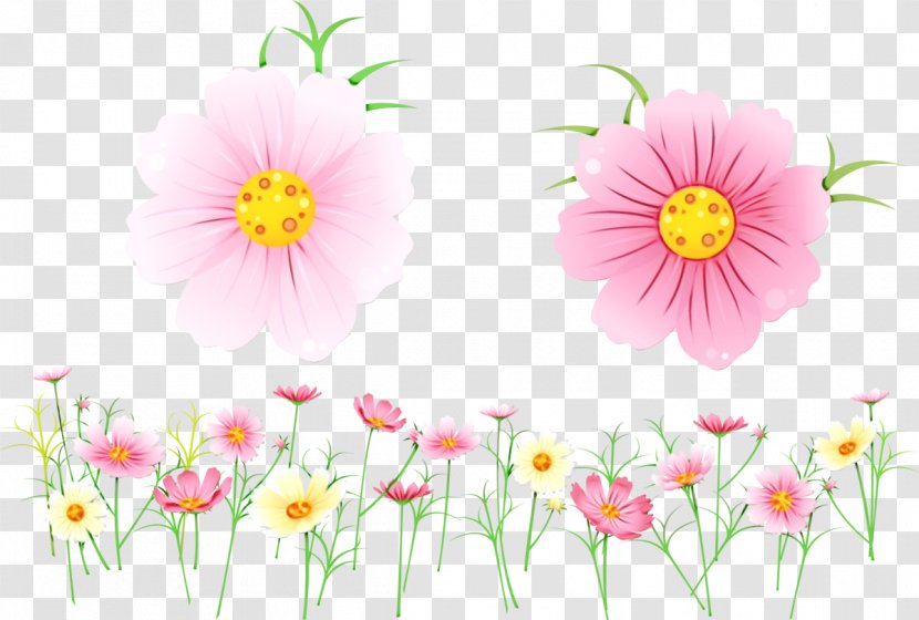 Floral Design - Wildflower - Cut Flowers Transparent PNG
