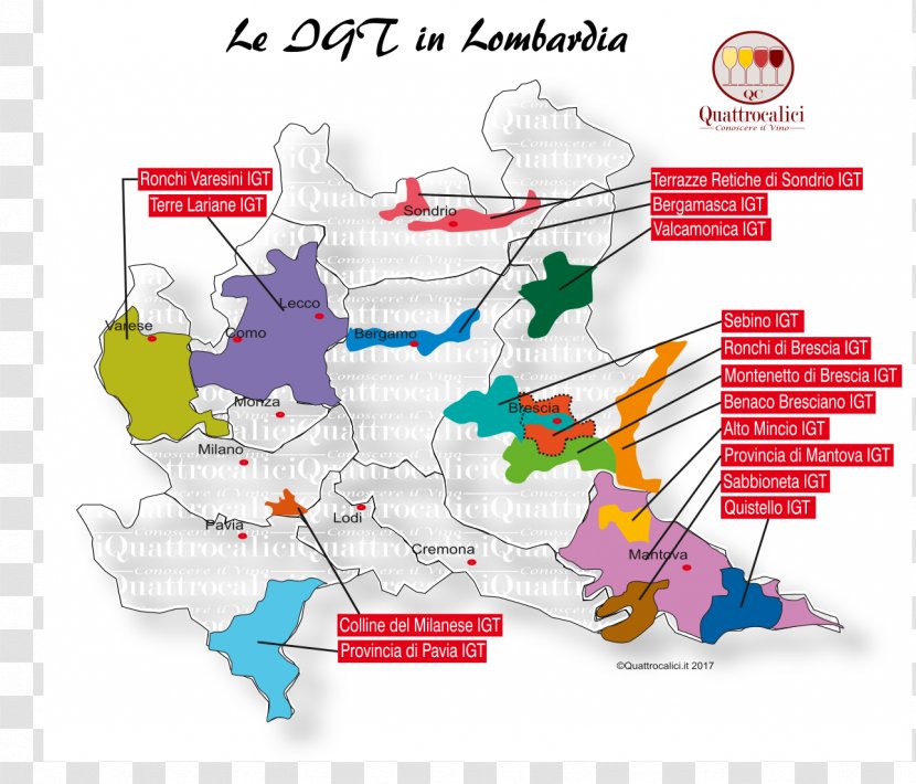 Wine Vini Della Lombardia Valtellina Franciacorta Valpolicella - World Transparent PNG