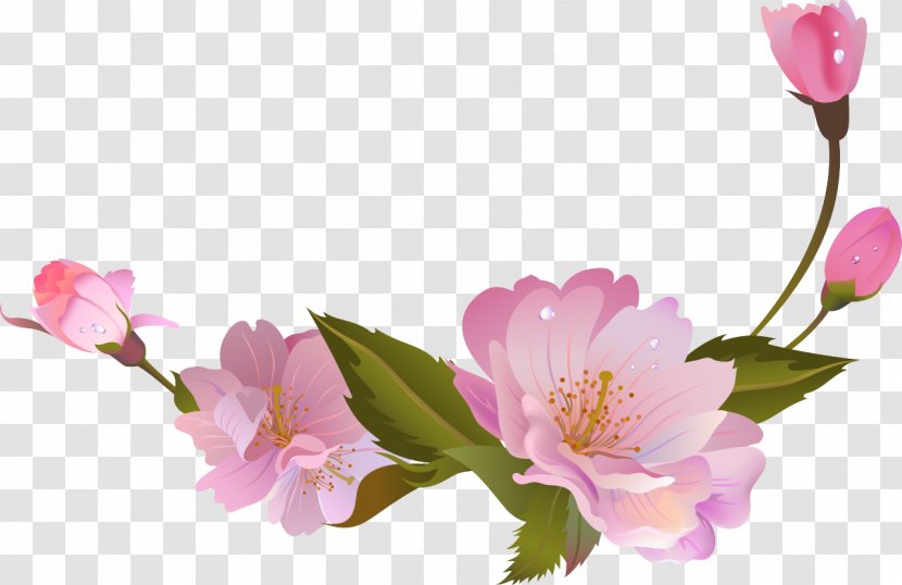 Flower Petal Branch Floral Design - Rose Family - BLOSSOM Transparent PNG