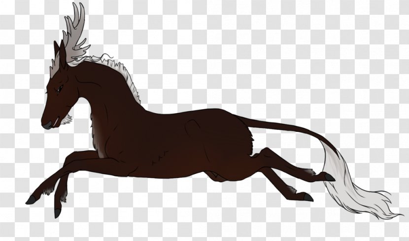 Mule Mustang Stallion Rein Mane - Fauna - Royal Stag Transparent PNG