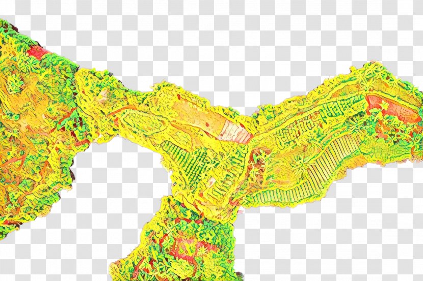 Yellow Map Transparent PNG