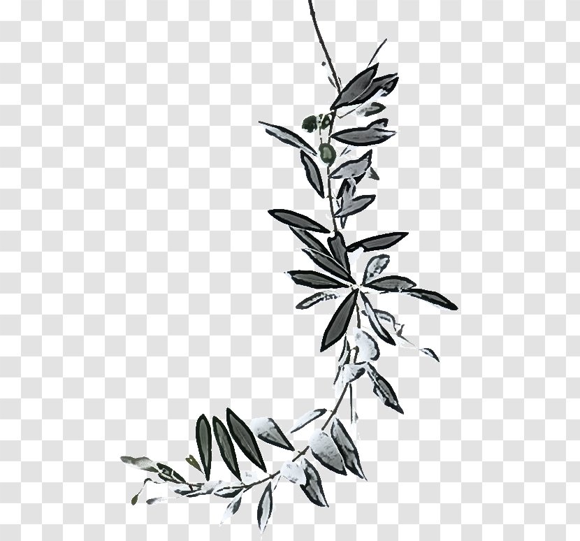 Leaf Plant Flower Stem Twig - Blackandwhite Flowering Transparent PNG