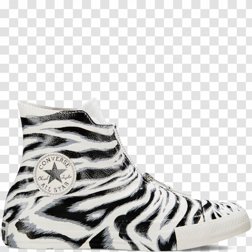 zebra all stars